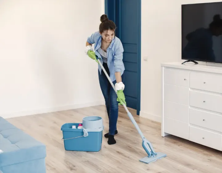 Femme de ménage Campôme